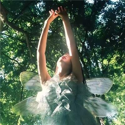 石少侠感觉好孤单